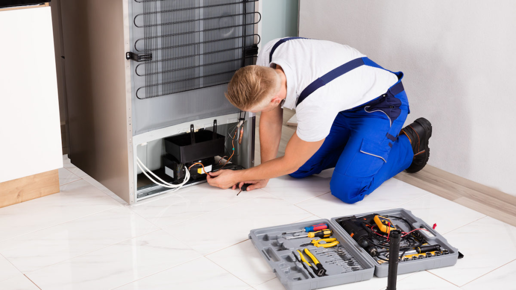 Freezer Chiller Service The Greens Dubai