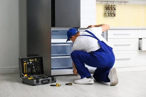Freezer Chiller Service Jumeirah Park